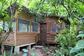 Iguana Roost Tourism Gold Standard Fully Equipped two Bedroom Cabin, San Ignacio